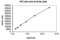 Eurofins DiscoverX PKC Protein, Active 10 &mu;g | Buy Online | Eurofins DiscoverX | Fisher Scientific